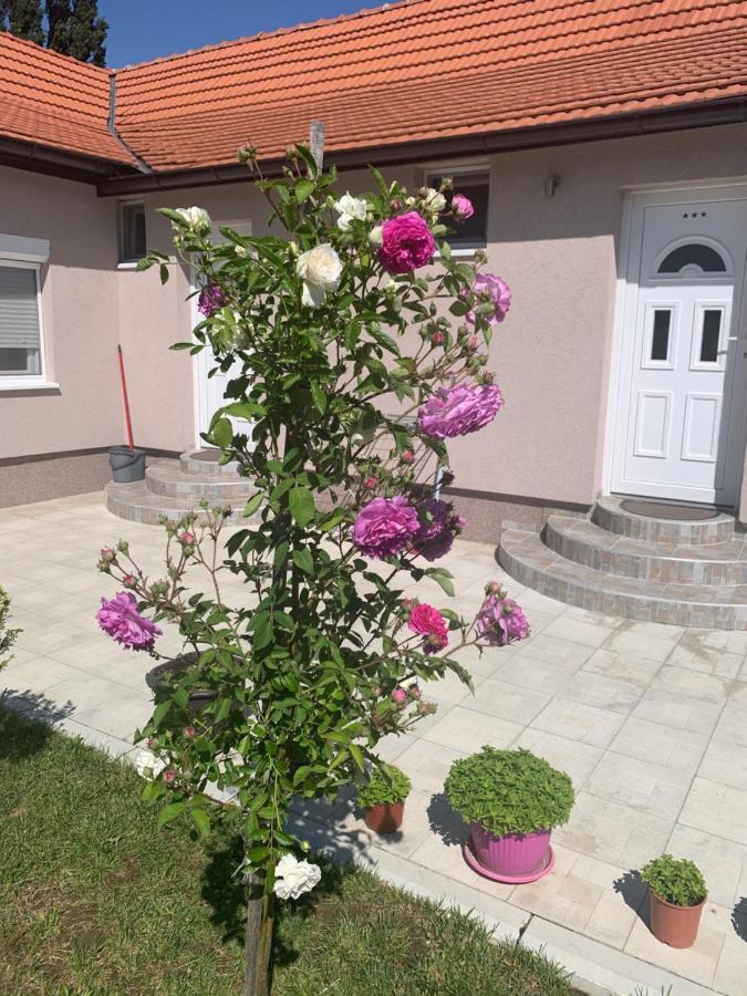 Vrdnicka Bajka Leilighet Vrdnik Eksteriør bilde
